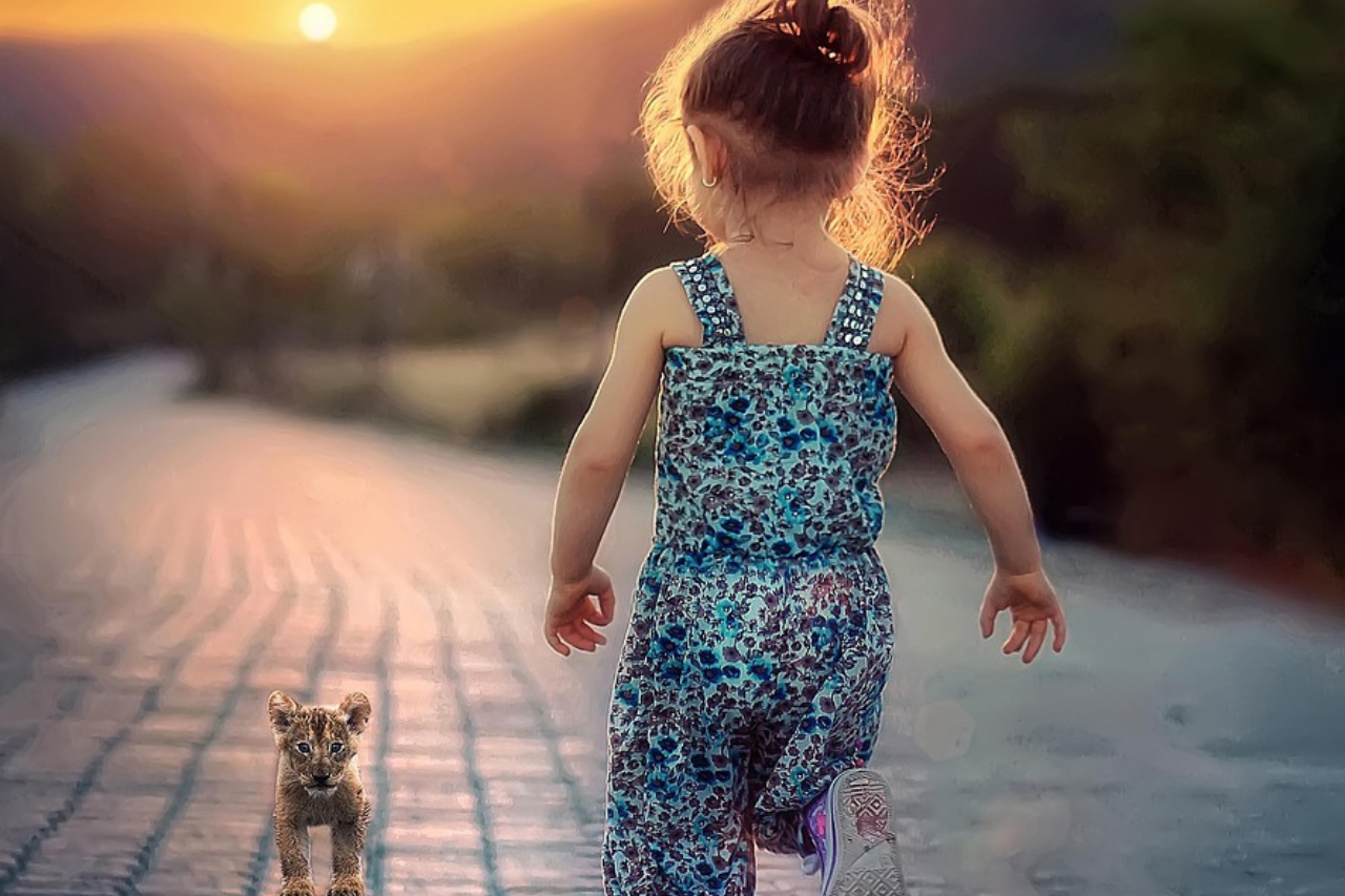 diseño sin título (2)